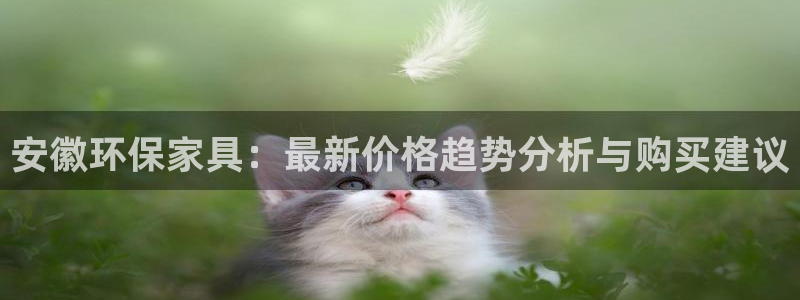 tp钱包app全称