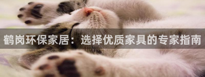 tp钱包mdex挖矿流程