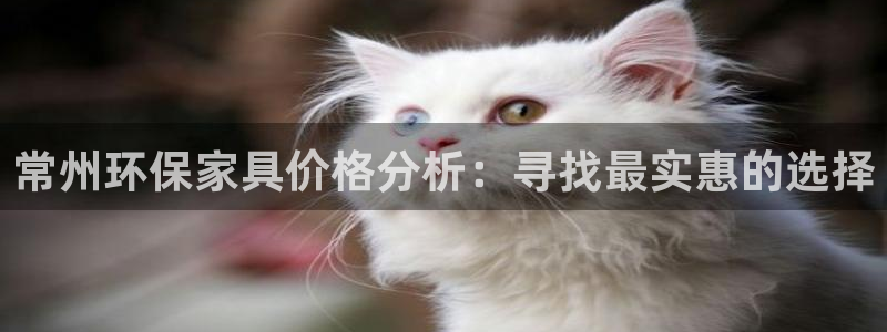 tptp官方下载安卓最新版本