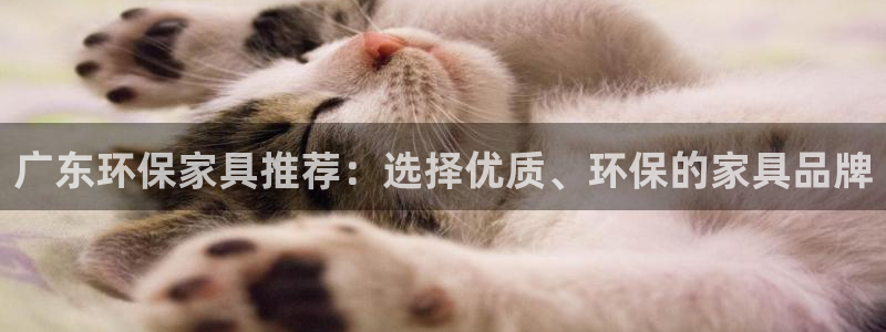 tp钱包bnb矿工费不足