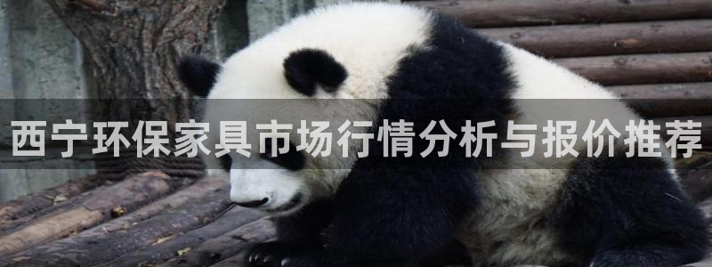 potatp下载