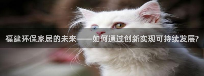 TP钱包App怎么连接网络